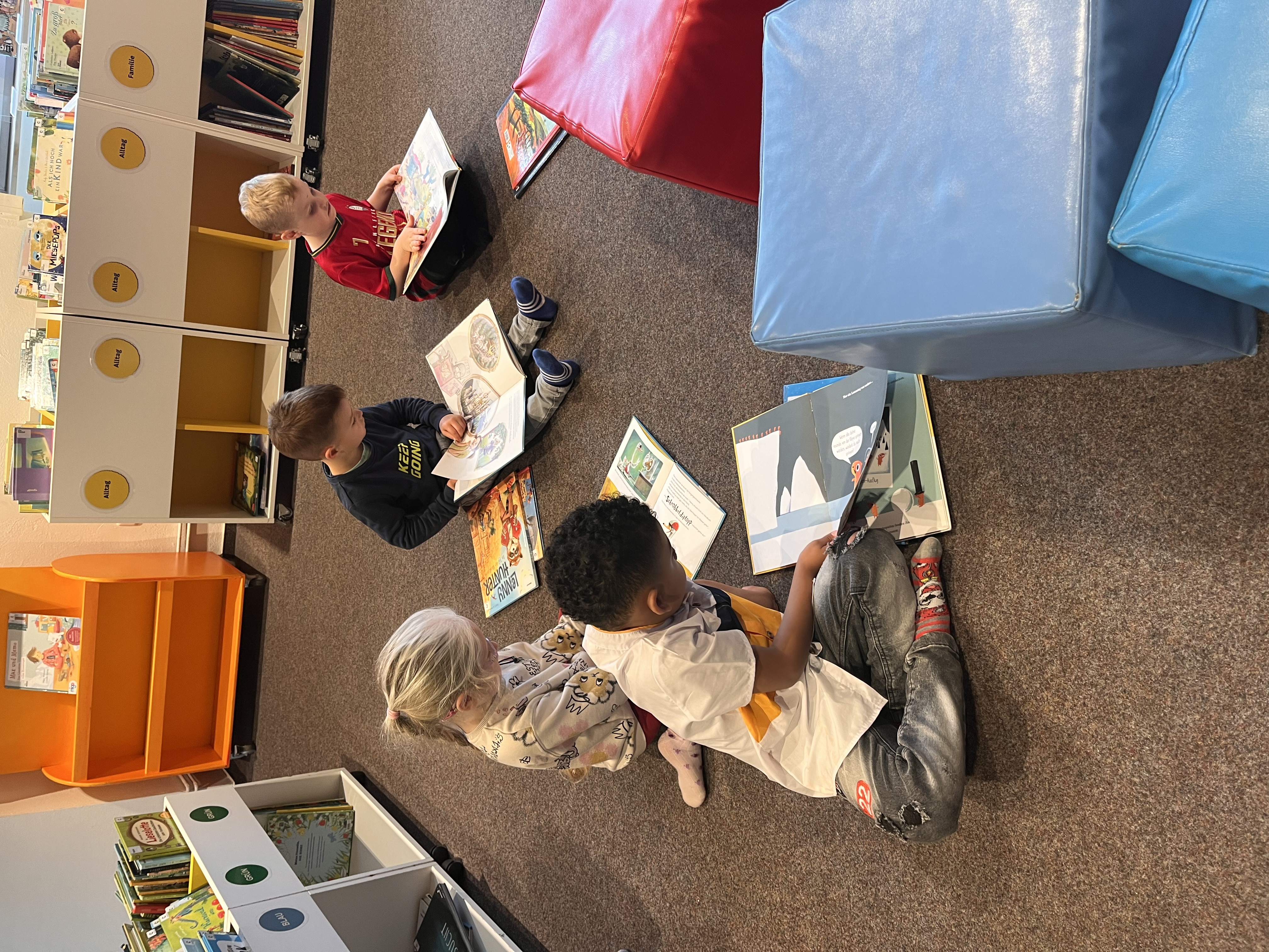 This image for Image Layouts addon